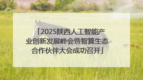 2025陕西人工智能产业创新发展峰会暨智算生态合作伙伴大会成功召开