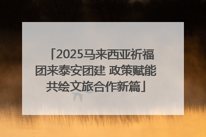 2025马来西亚祈福团来泰安团建 政策赋能共绘文旅合作新篇