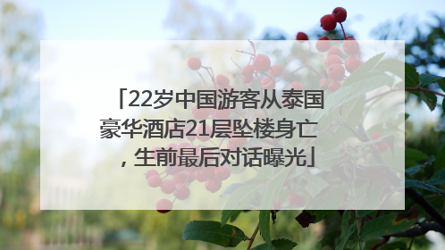 22岁中国游客从泰国豪华酒店21层坠楼身亡，生前最后对话曝光