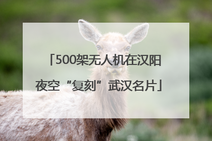 500架无人机在汉阳夜空“复刻”武汉名片
