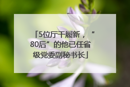 5位厅干履新，“80后”的他已任省级党委副秘书长