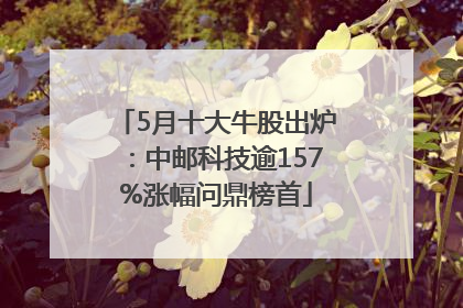 5月十大牛股出炉：中邮科技逾157%涨幅问鼎榜首
