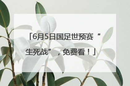 6月5日国足世预赛“生死战”，免费看！