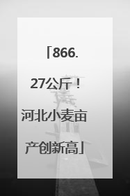 866.27公斤！河北小麦亩产创新高