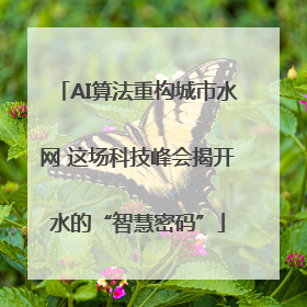 AI算法重构城市水网 这场科技峰会揭开水的“智慧密码”