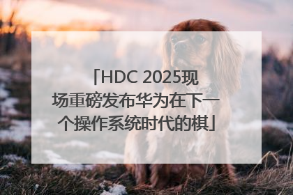 HDC 2025现场重磅发布华为在下一个操作系统时代的棋