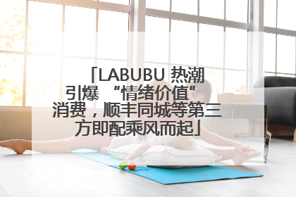 LABUBU 热潮引爆 “情绪价值” 消费，顺丰同城等第三方即配乘风而起