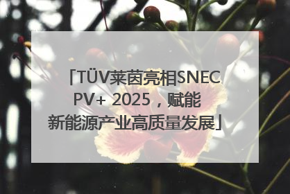 TÜV莱茵亮相SNEC PV+ 2025，赋能新能源产业高质量发展